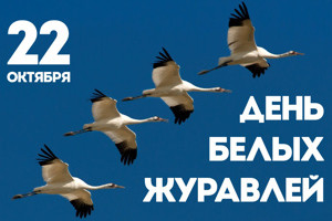 День белых журавлей — день светлой памяти ..