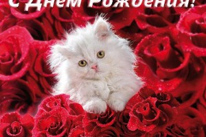 ДЕНЬ РОЖДЕНИЯ АДМИНИСТРАТОРА РАДИО!